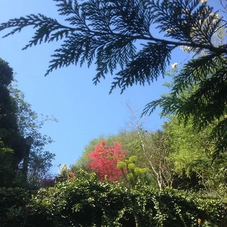 Topfloor Les Terrasses Apartment *