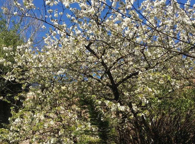 Topfloor Les Terrasses Διαμέρισμα *