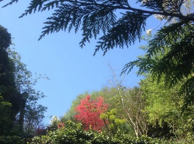 Topfloor Les Terrasses Διαμέρισμα *